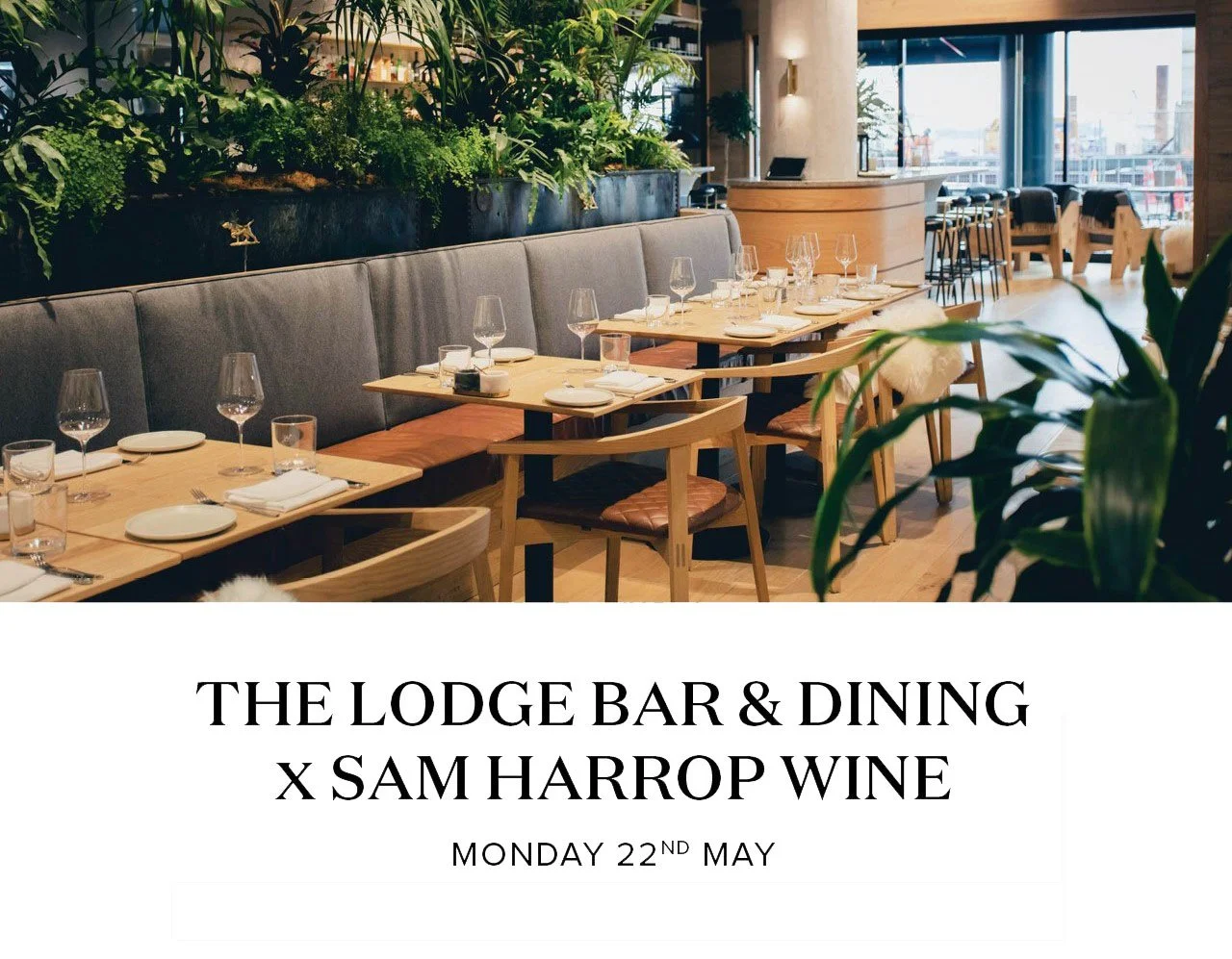 Sam Harrop Wine Lodge Bar Dinner Promotional Image